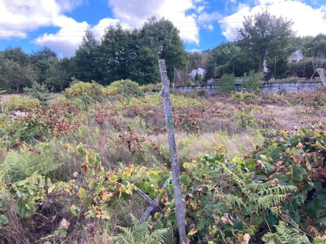 Terreno en venta en Pereiro de Aguiar, Ourense photo 1
