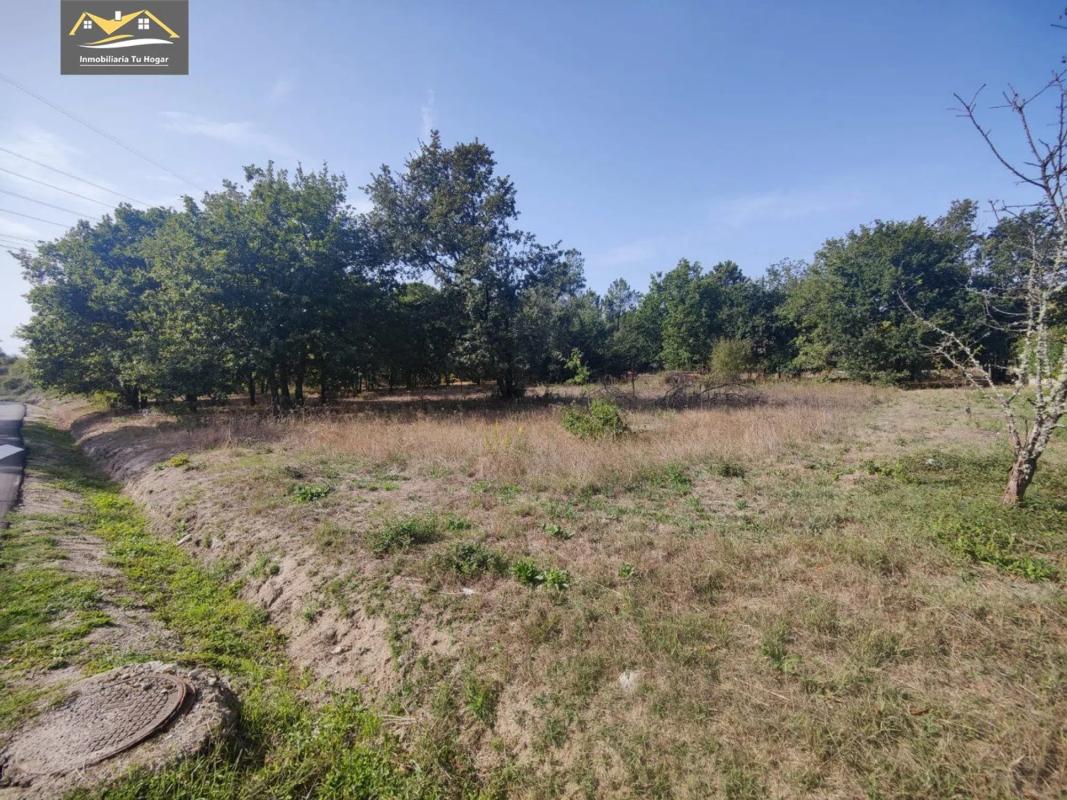 Terreno en venta en San Cibrao das Viñas, Ourense photo 1
