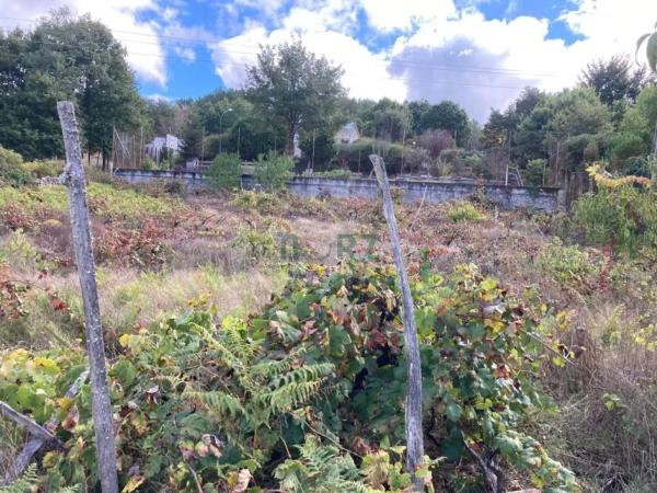 Terreno en Pereiro de Aguiar photo 3