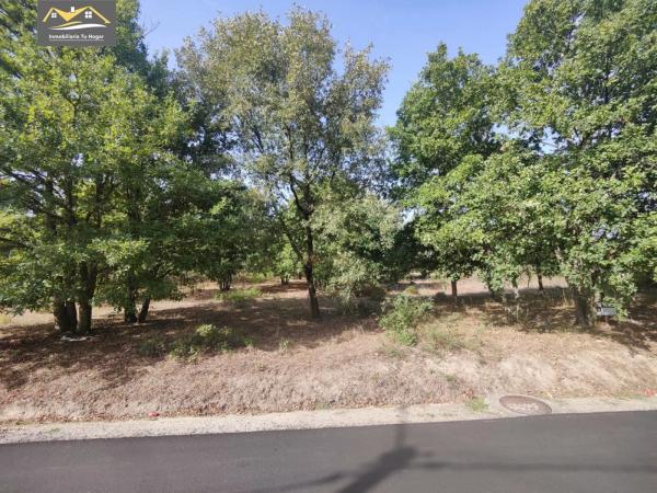 Terreno en San Cibrao das Viñas photo 2
