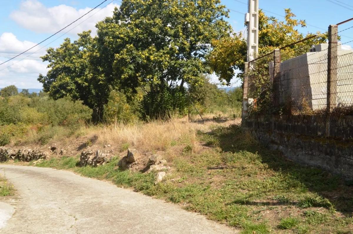 Terreno en venta en San Cibrao das Viñas, Ourense photo 1