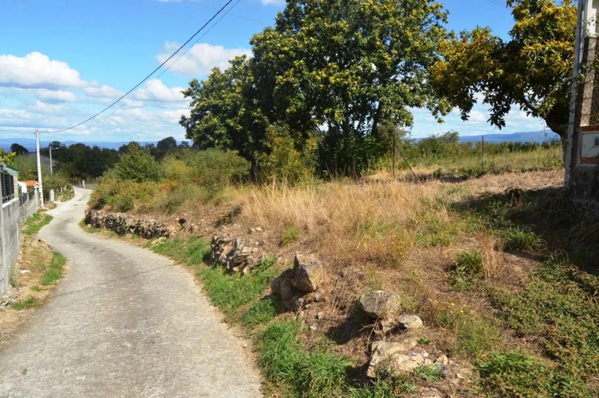 Terreno en venta en San Cibrao das Viñas, Ourense photo 2