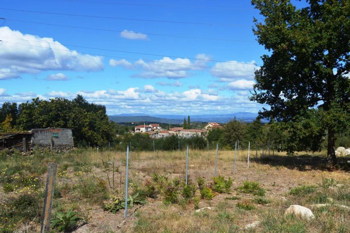Terreno en venta en San Cibrao das Viñas, Ourense photo 3