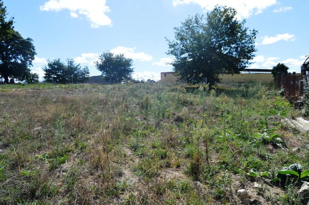 Terreno en venta en San Cibrao das Viñas, Ourense photo 5