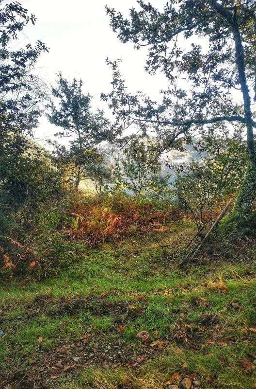 Terreno en venta en A Peroxa, Ourense photo 3
