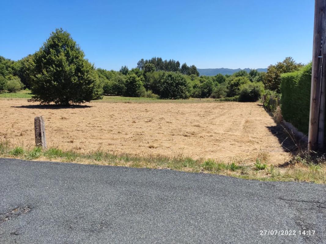 Land for sale in Pereiro de Aguiar, Ourense photo 2