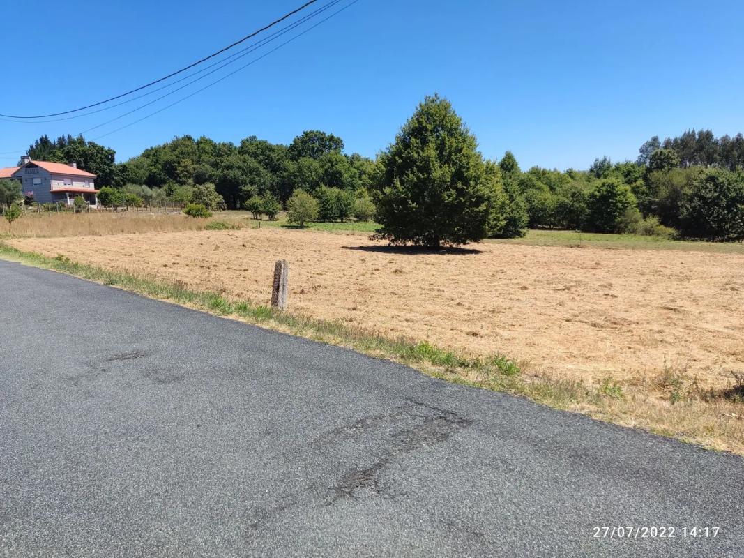 Land for sale in Pereiro de Aguiar, Ourense photo 4
