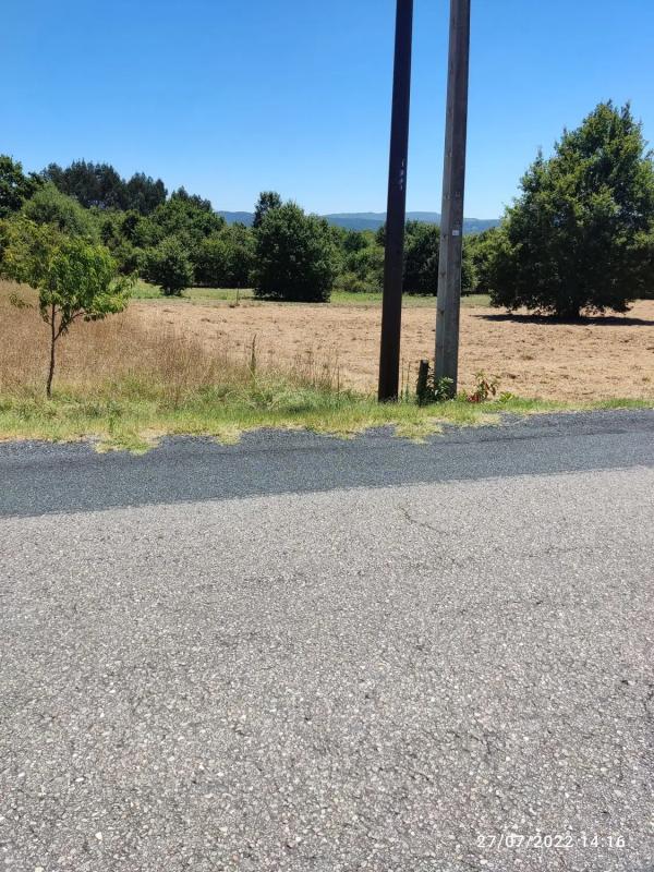 Land for sale in Pereiro de Aguiar, Ourense photo 5