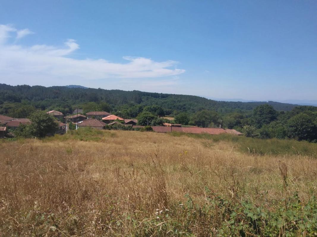 Terreno en venta en A Peroxa, Ourense photo 4