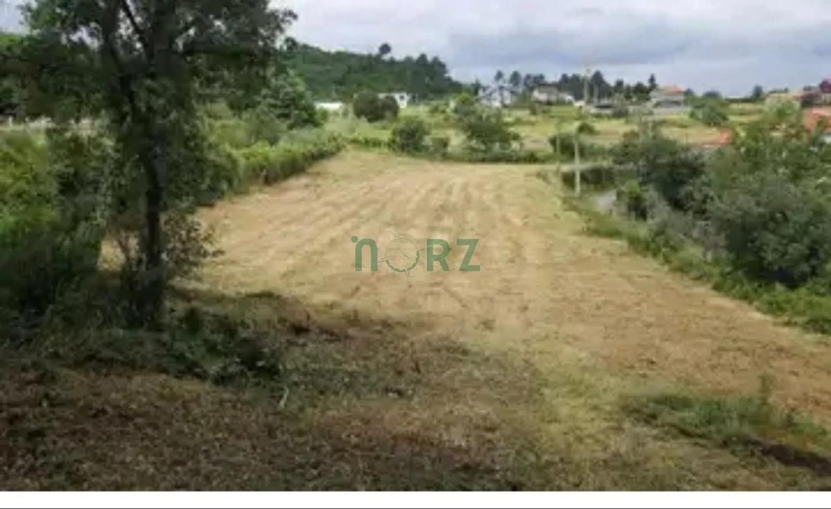 Terreno en venta en Barbadas, Ourense photo 2