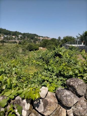 Terreno en Pereiro de Aguiar thumbnail 1