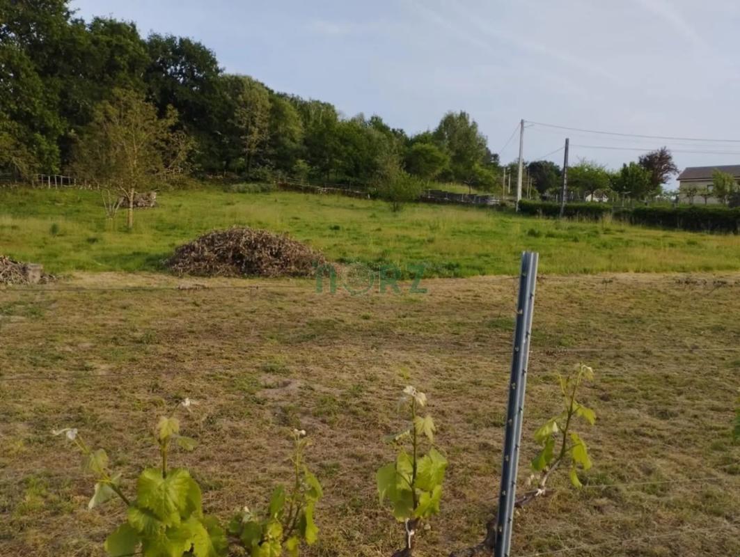 Terreno en venta en Amoeiro, Ourense photo 2