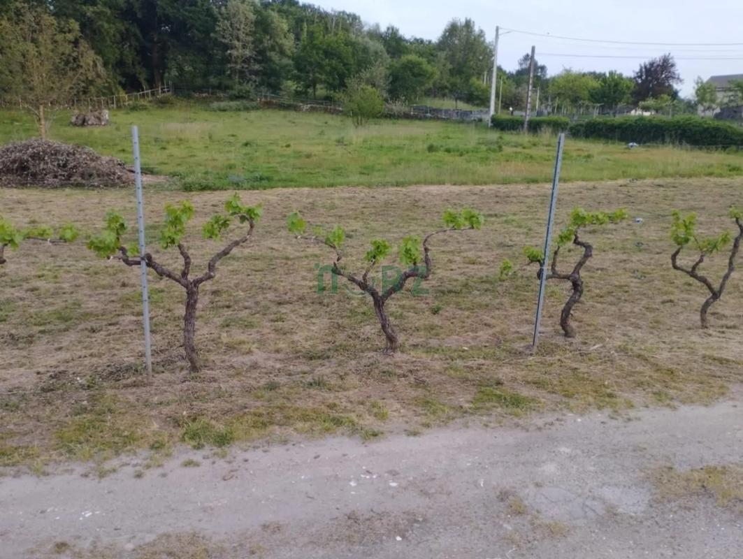 Terreno en venta en Amoeiro, Ourense photo 3