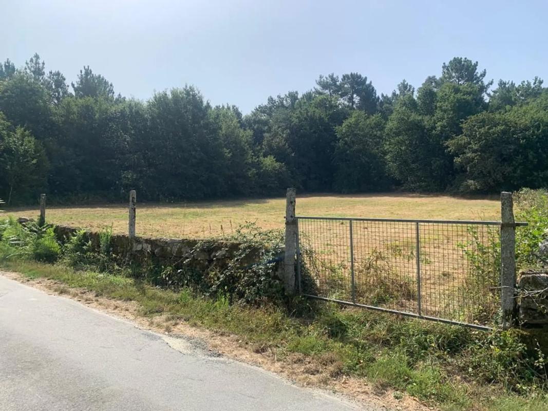 Terreno en venta en Amoeiro, Ourense photo 1
