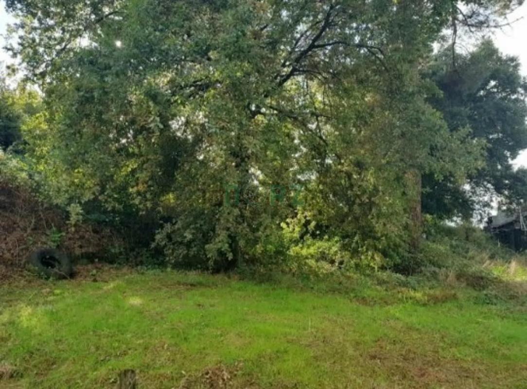 Land for sale in Ourense, Ourense photo 4