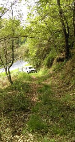 Terreno en camino Poligono 8, parcela 156 s/n photo 1