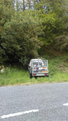 Terreno en camino Poligono 8, parcela 156 s/n thumbnail 1