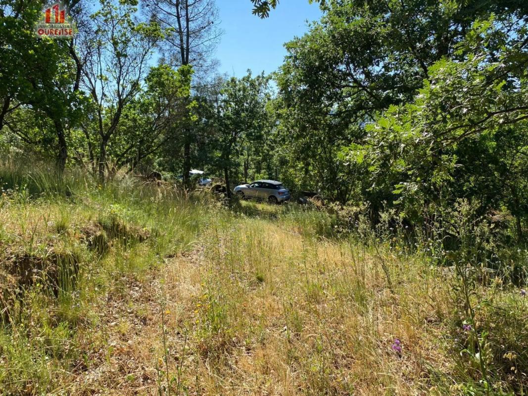 Terreno en venta en Ourense, Ourense photo 2