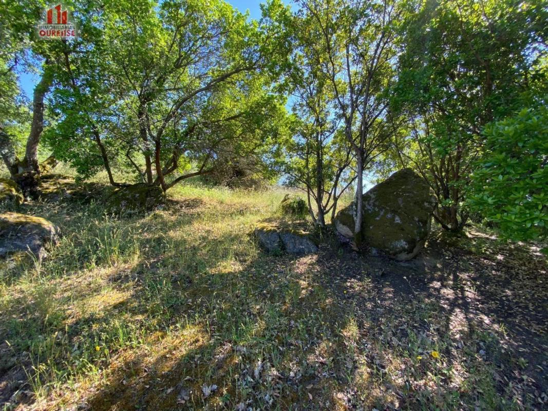 Terreno en venta en Ourense, Ourense photo 3
