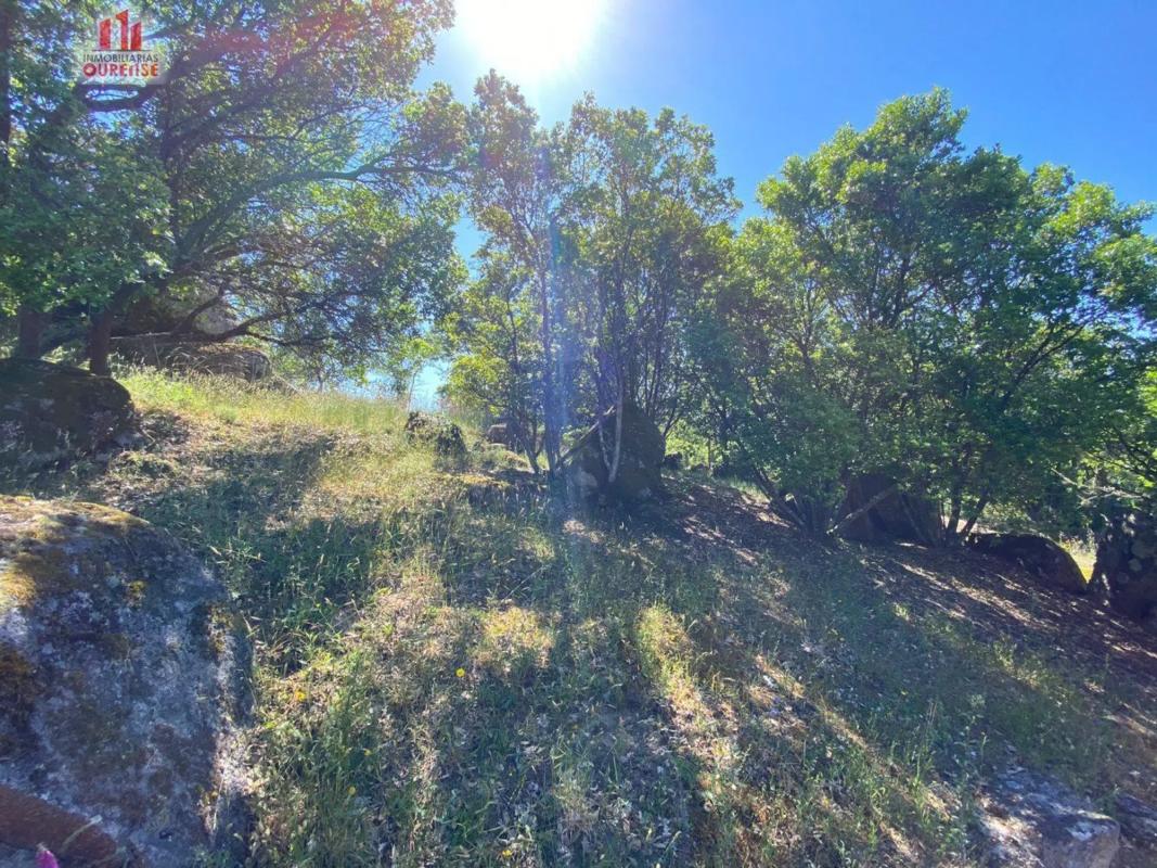 Terreno en venta en Ourense, Ourense photo 5