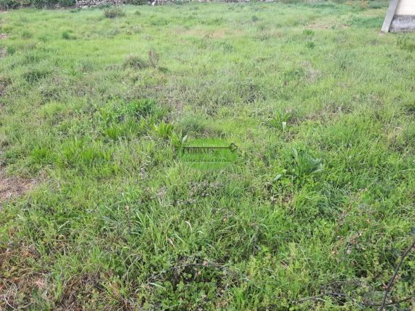 Terreno en Pereiro de Aguiar photo 1