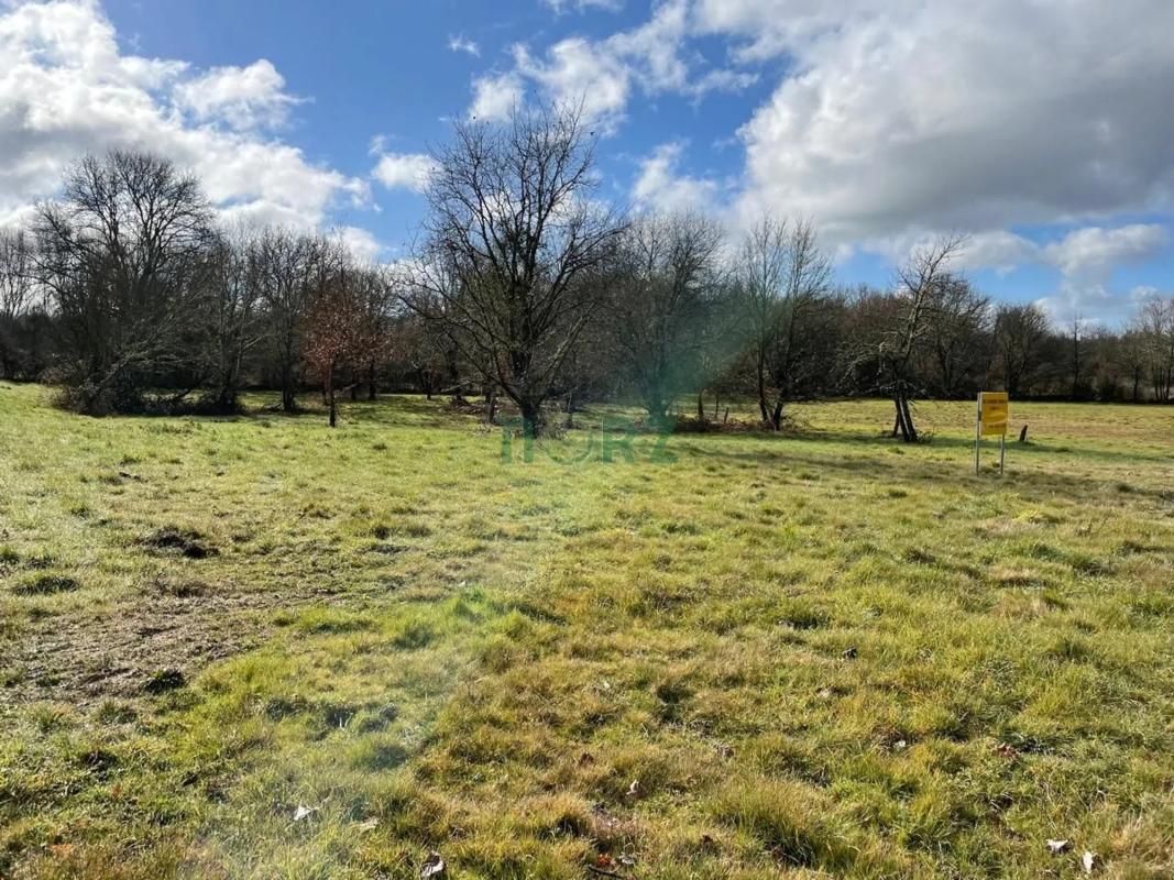 Terreno en venta en Pereiro de Aguiar, Ourense photo 1