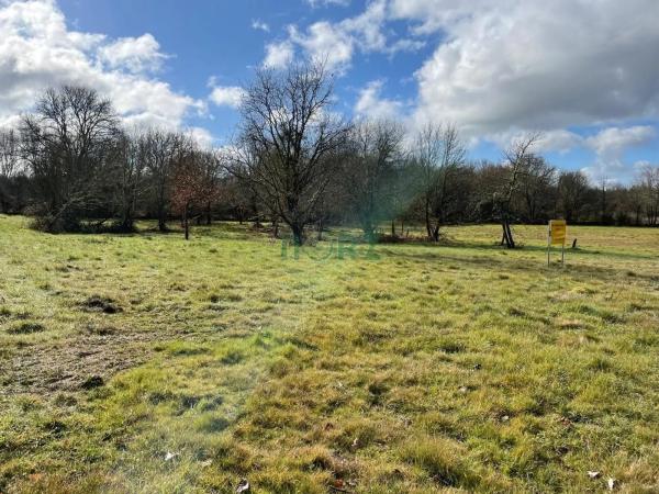 Terreno en Pereiro de Aguiar photo 1