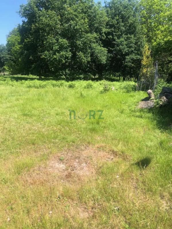 Terreno en venta en Vilamarin, Ourense photo 2