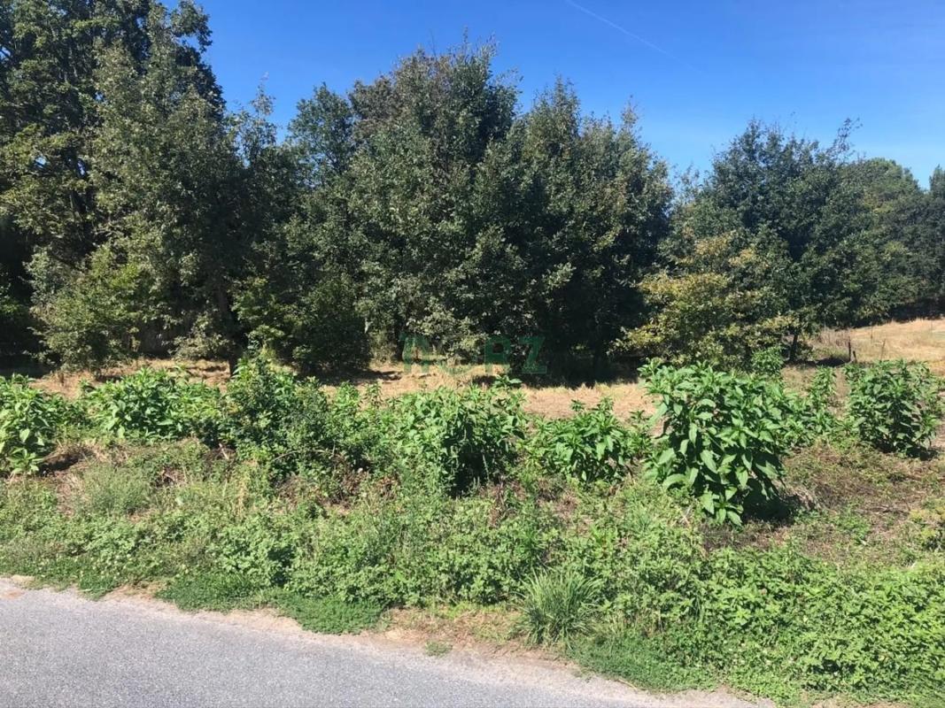 Terreno en venta en Pereiro de Aguiar, Ourense photo 1