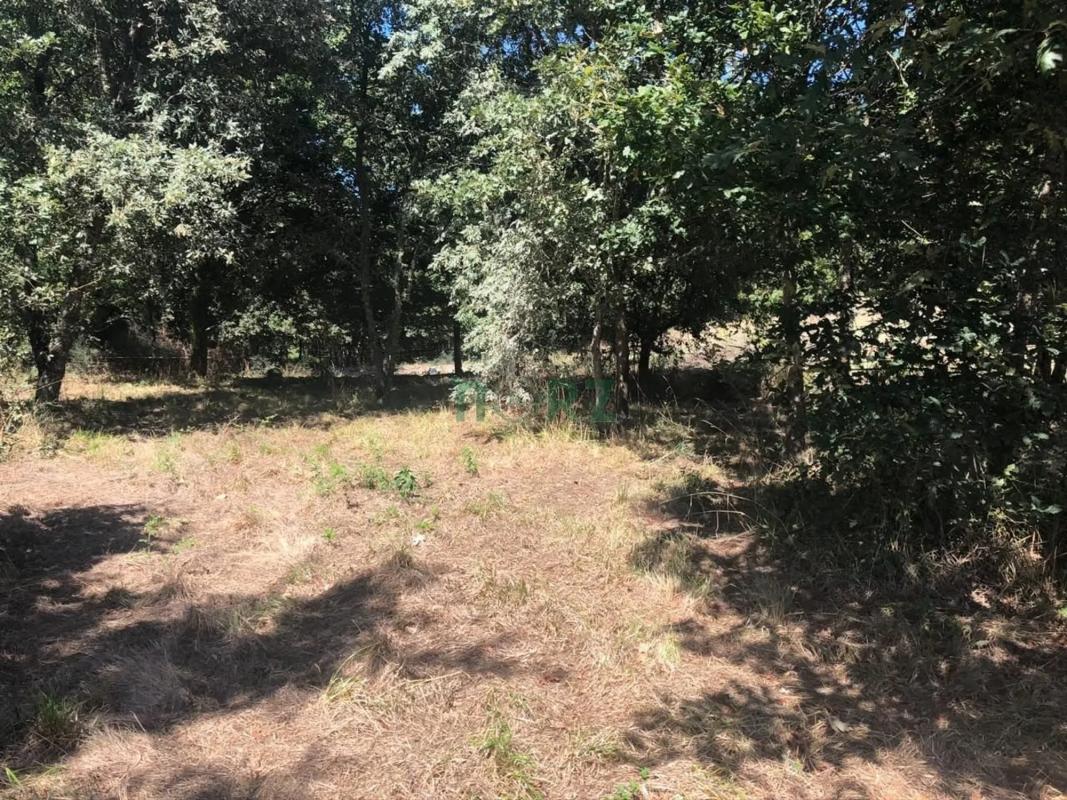 Terreno en venta en Pereiro de Aguiar, Ourense photo 3