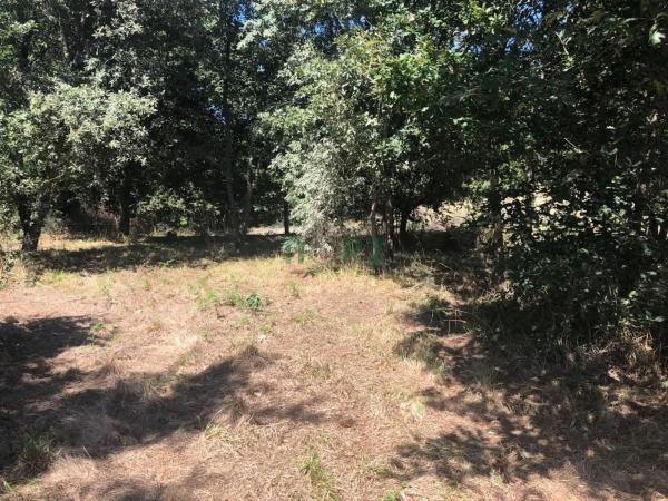 Terreno en Pereiro de Aguiar photo 3