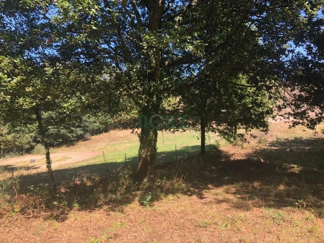 Terreno en venta en Pereiro de Aguiar, Ourense photo 4