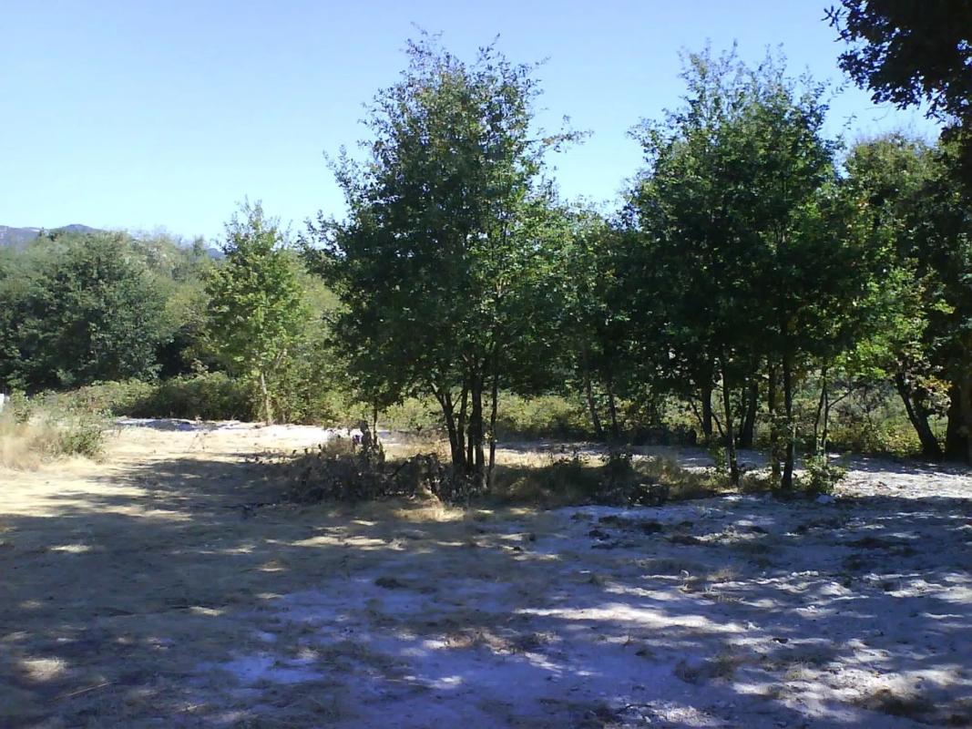 Terreno en venta en Nogueira de Ramuin, Ourense photo 3
