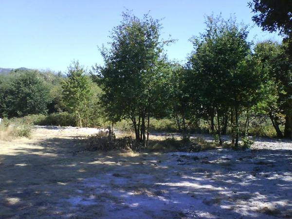 Terreno en Nogueira de Ramuin photo 3