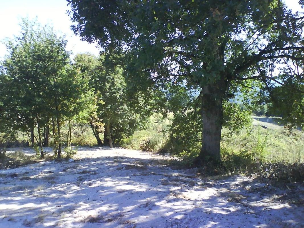Terreno en venta en Nogueira de Ramuin, Ourense photo 4