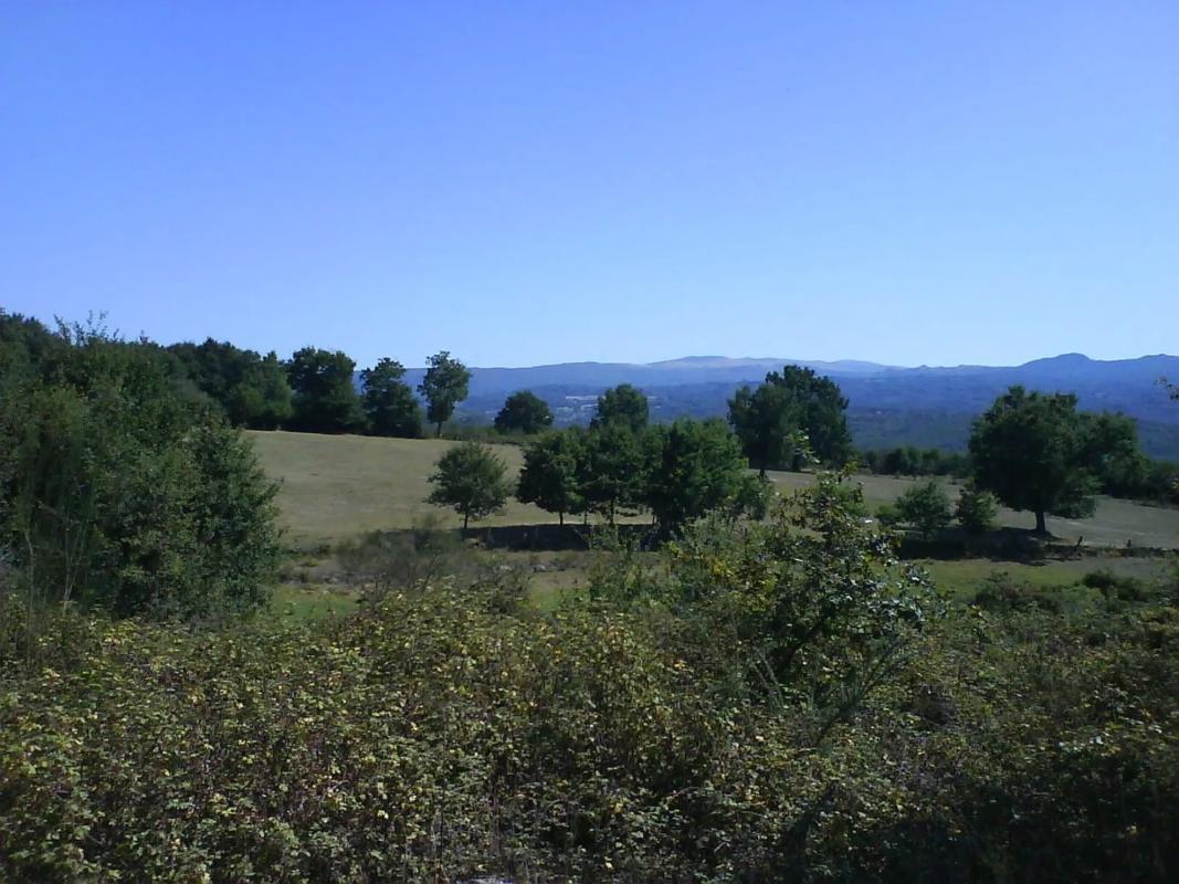 Terreno en venta en Nogueira de Ramuin, Ourense photo 5