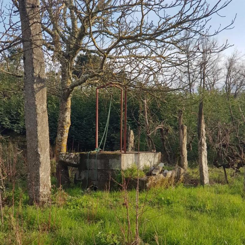 Terreno en venta en San Cibrao das Viñas, Ourense photo 4