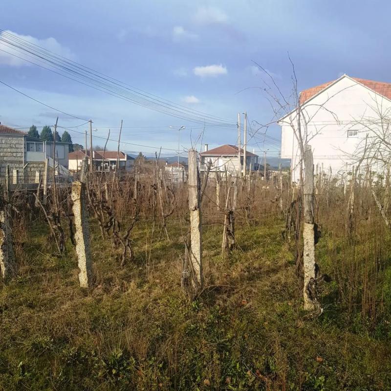 Terreno en venta en San Cibrao das Viñas, Ourense photo 5