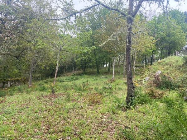 Terreno en Pereiro de Aguiar photo 1