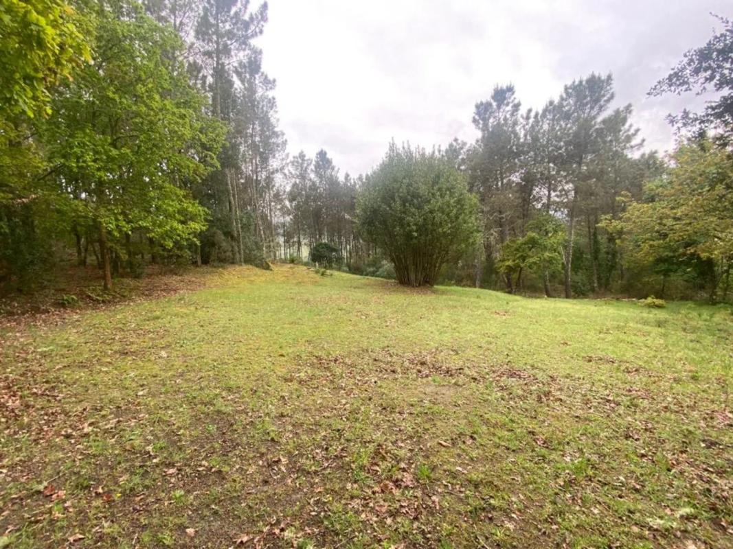 Terreno en venta en Pereiro de Aguiar, Ourense photo 3