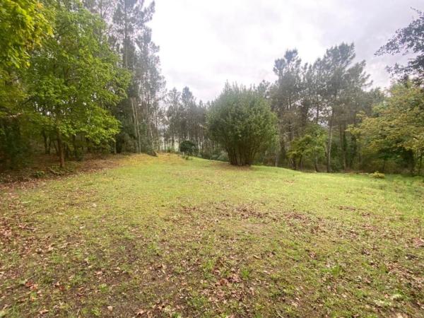 Terreno en Pereiro de Aguiar photo 3