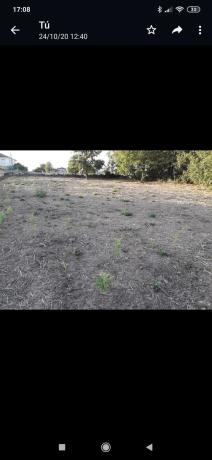 Terreno en Lugar Meiriz, 41 photo 1
