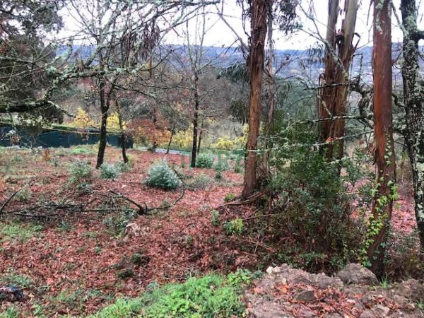 Terreno en Vilar de Astrés - Palmés - Arrabaldo thumbnail 2