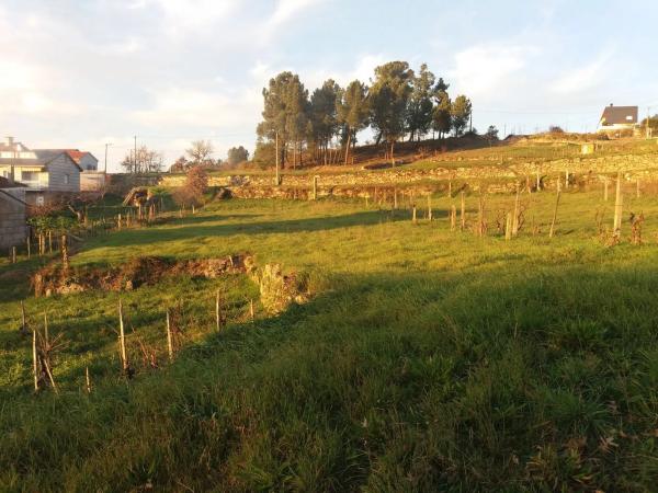 Terreno en Cm Marco Do-o Campo De Santa s/n photo 4
