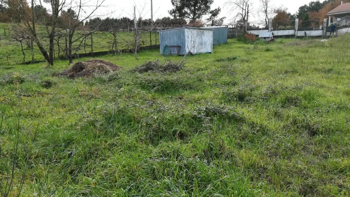 Terreno en venta en Coles, Ourense photo 4