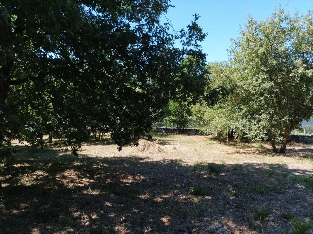Terreno en venta en Pereiro de Aguiar, Ourense photo 1