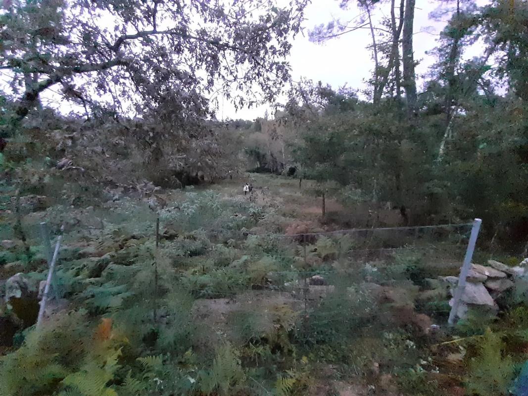 Terreno en venta en Pereiro de Aguiar, Ourense photo 5