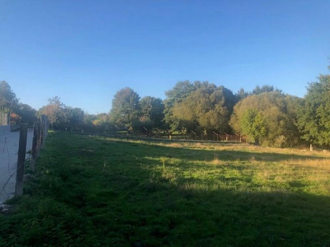 Terreno en venta en Nogueira de Ramuin, Ourense photo 5