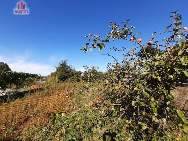Terreno en San Cibrao das Viñas thumbnail 2