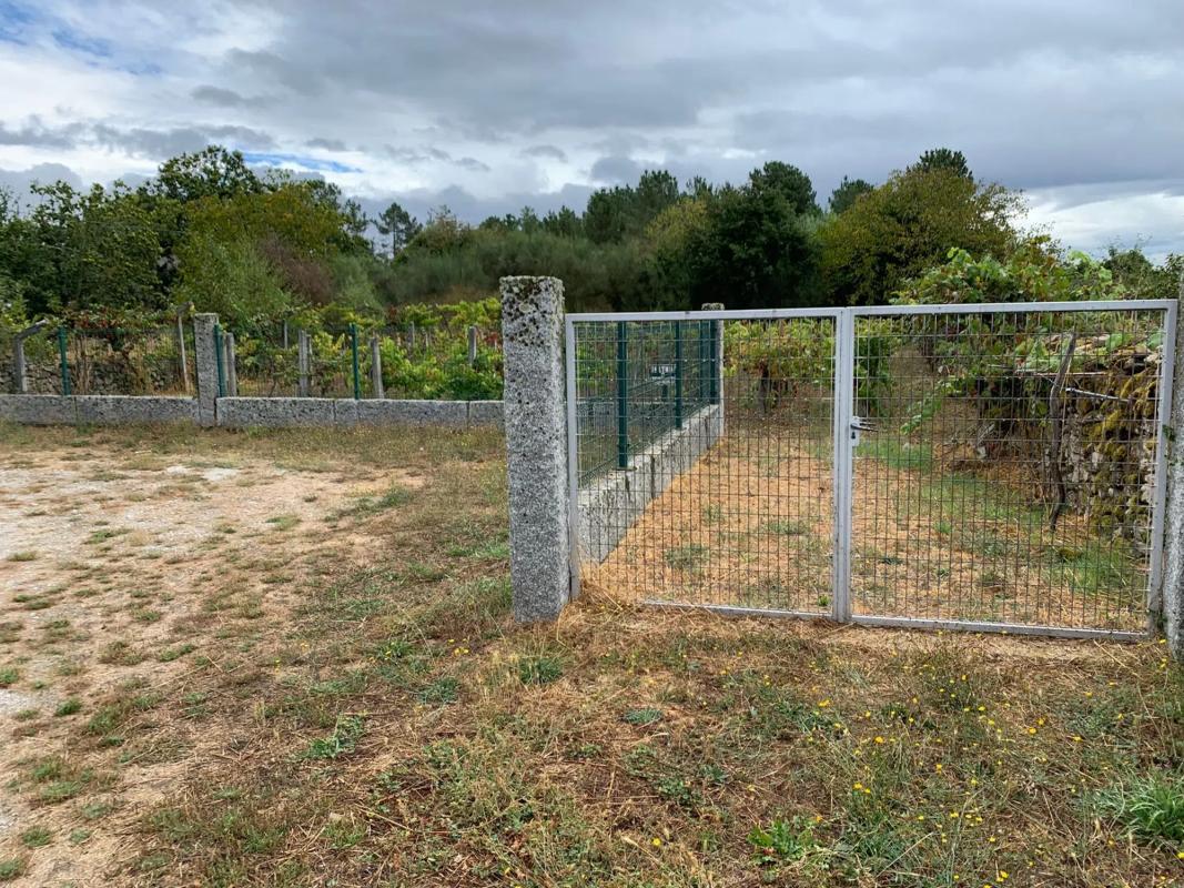 Terreno en venta en San Cibrao das Viñas, Ourense photo 1